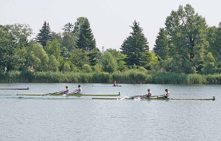 Foto 42/121 (Regatta 2008 beim WRC Donaubund)